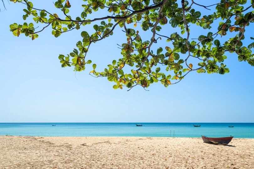 the beach